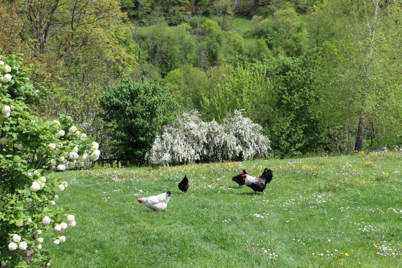 La Grande Ourse Bed and Breakfast Campan Εξωτερικό φωτογραφία